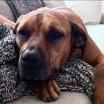Jason Rushton - @jrushton139 - Instagram