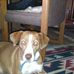Jason Ryerson - Facebook