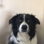 Jason Salisbury - @jason.salisbury.9887 - Instagram