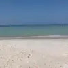 Jason Samples595 - @jsamples1010 - TikTok