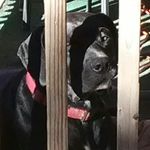 Bob Jason sandy - @bobjasonsandy - Instagram