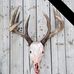 Jason Santa - Facebook