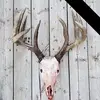 Jason Santa - @jason.santa - TikTok