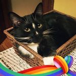 @jason_scala_01 - Instagram