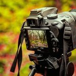 jason scholes - @jasonscholes_photography - Instagram