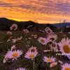 Jason Schultz - @jason.schultzz - TikTok