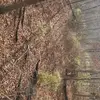 Jason Schultz - @jasonschultz54 - TikTok