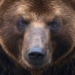 Jason Secor - @perceptonis - Instagram