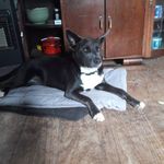 Jason Secord - @secord.jason - Instagram