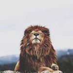 Jason Sedillo - @quesedillo - Instagram