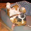 Jason sedillos - @jason.sedillos - TikTok