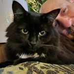 Jason Seguin - @seguinjay - Instagram