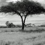 Jason Settle - @jasonsettle - Instagram