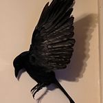 Jason Sevigny - @jay7e_77 - Instagram