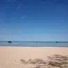 Jason Sharp - @jason.sharp995 - TikTok