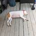 Jason Sharpe - Facebook
