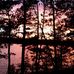 Jason Sheahan - Facebook