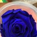Jason Sherry - Facebook