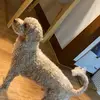 jason - @jason_shim - TikTok
