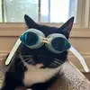 Jason - @jjasonshim - TikTok