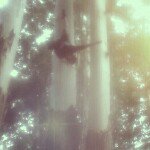 Jason Siebert - @eisenadler - Instagram