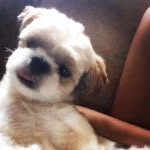 Jason Silas - @jason.silas - Instagram