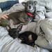 Jason Simmers - Facebook