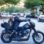 Jason Simons - @jasonandindy - Instagram