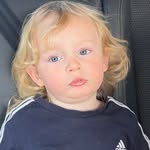 Jason Singleton - @s.b.k.kennels1 - Instagram