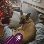 Jason Singleton - @singletonsjason - Instagram
