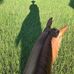 Jason Skipper - Facebook