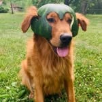 Jason Snodgrass - @jasonsnodgrass482 - Instagram