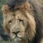 JasonSobel - @jason_marks_s - Instagram