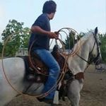 jason socha - @jasonsocha - Instagram