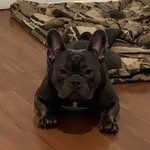 Jason Soler - @az4_hob201 - Instagram