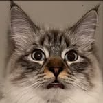Jason South - @jasonsouth01 - Instagram