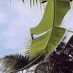 Jason South - @jasonsouth2413 - Instagram