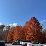 Jason Southern - @jasonsouthern - Instagram