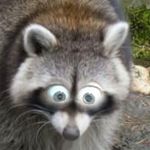 Jason Spells - @jason_spells - Instagram