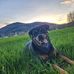 Jason Sperry - Facebook
