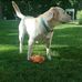 Jason Sperry - Facebook