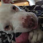 Jason Sperry - @jasonsperry0712 - Instagram