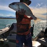 Jason spinks - @spinks.jason - Instagram