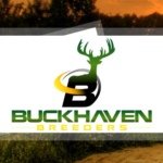 Jason E Spinks - @buckhaven_breeders - Instagram