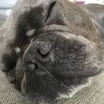 Jason Spring - @jason_spring70 - Instagram