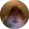 Jasonstabile Stabile - @jasonstabilestabile - TikTok