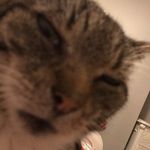 Jason Stamp - @stamp767 - Instagram