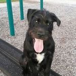 Jason Stankowski - @jasonstankowski - Instagram