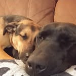 Jason St. Clair - @thestclairfamily2 - Instagram
