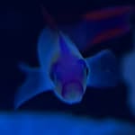 Jason Steele - @jason.steele.3348 - Instagram
